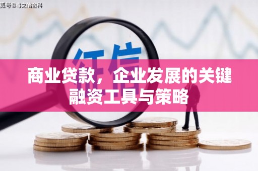 南乐商业贷款，企业发展的关键融资工具与策略