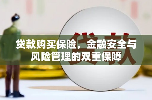 南乐贷款购买保险，金融安全与风险管理的双重保障