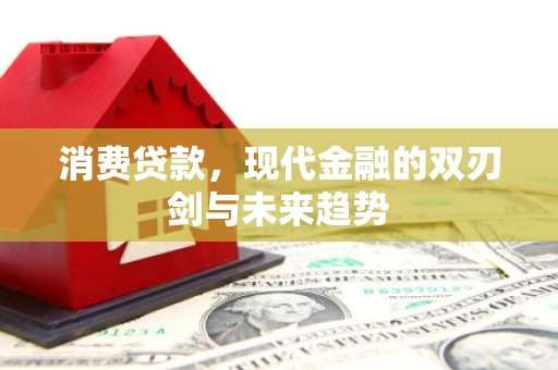 南乐消费贷款，现代金融的双刃剑与未来趋势