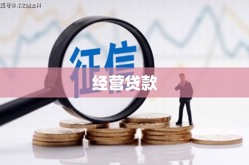 南乐经营贷款