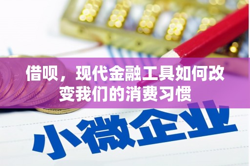南乐借呗，现代金融工具如何改变我们的消费习惯