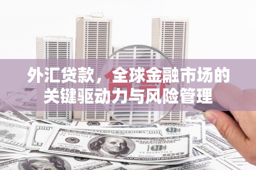 南乐外汇贷款，全球金融市场的关键驱动力与风险管理