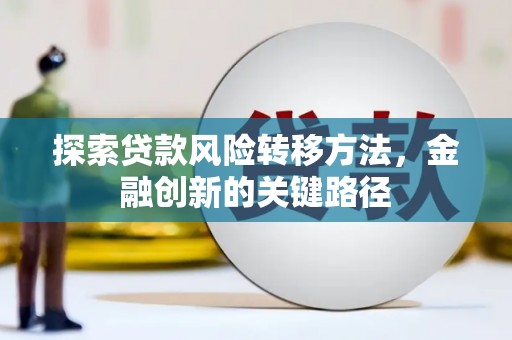 南乐探索贷款风险转移方法，金融创新的关键路径