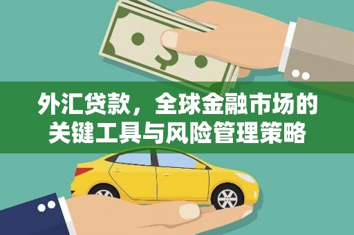 南乐外汇贷款，全球金融市场的关键工具与风险管理策略