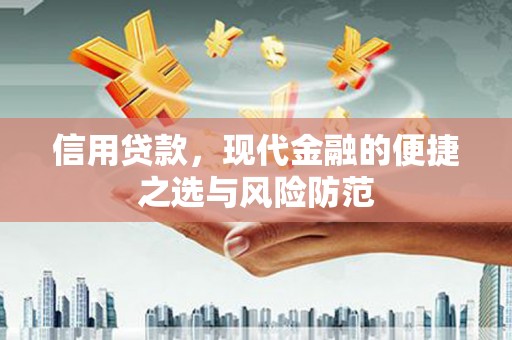 南乐信用贷款，现代金融的便捷之选与风险防范