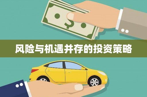 南乐风险与机遇并存的投资策略