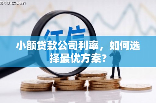 南乐小额贷款公司利率，如何选择最优方案？