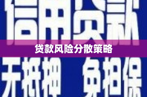 南乐贷款风险分散策略