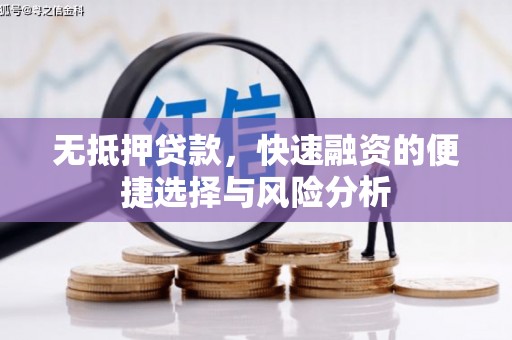 南乐无抵押贷款，快速融资的便捷选择与风险分析