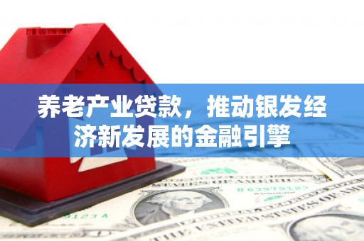 南乐养老产业贷款，推动银发经济新发展的金融引擎