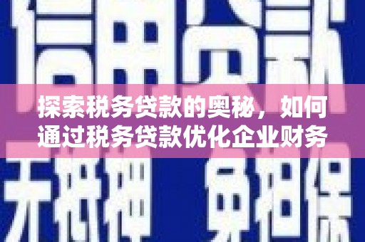 南乐探索税务贷款的奥秘，如何通过税务贷款优化企业财务
