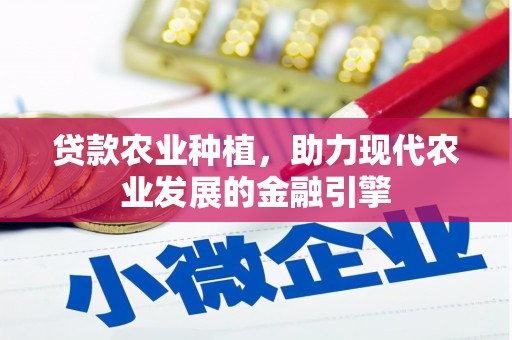南乐贷款农业种植，助力现代农业发展的金融引擎