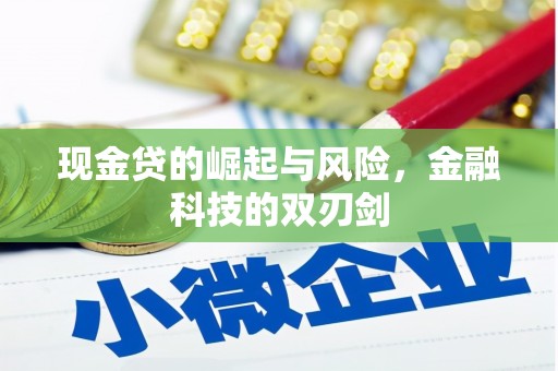 南乐现金贷的崛起与风险，金融科技的双刃剑