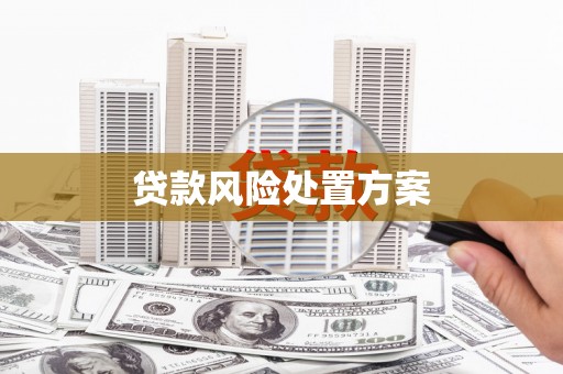 南乐贷款风险处置方案