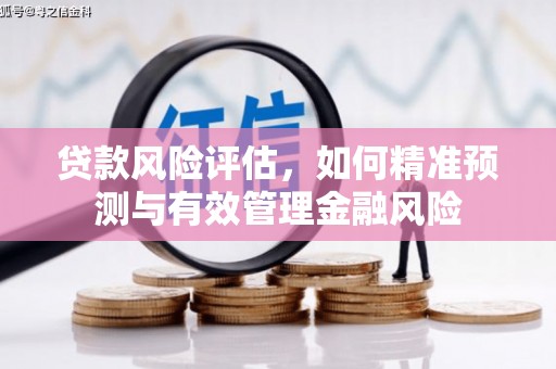 南乐贷款风险评估，如何精准预测与有效管理金融风险