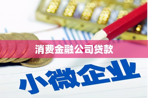 南乐消费金融公司贷款
