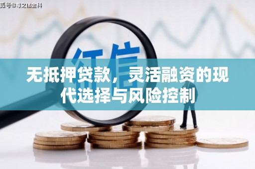 南乐无抵押贷款，灵活融资的现代选择与风险控制