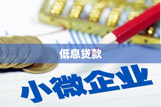 南乐低息贷款
