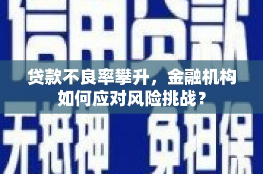 南乐贷款不良率攀升，金融机构如何应对风险挑战？