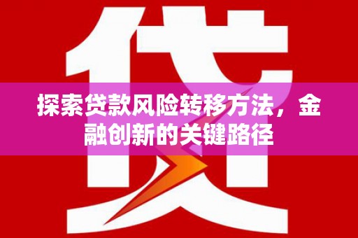 南乐探索贷款风险转移方法，金融创新的关键路径