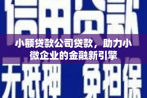 南乐小额贷款公司贷款，助力小微企业的金融新引擎