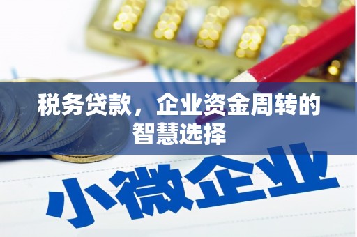 南乐税务贷款，企业资金周转的智慧选择