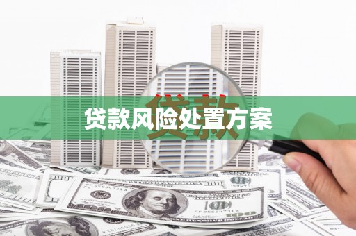 南乐贷款风险处置方案