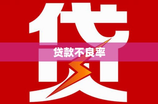 南乐贷款不良率