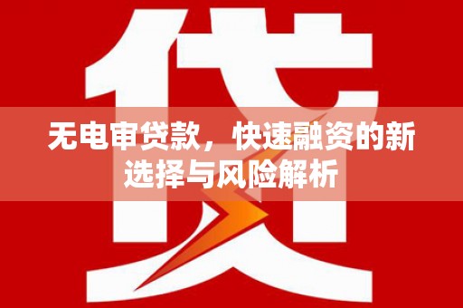 南乐无电审贷款，快速融资的新选择与风险解析