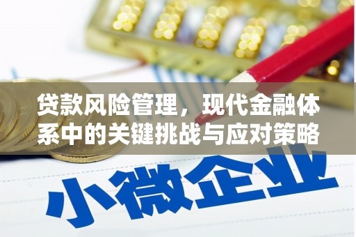 南乐贷款风险管理，现代金融体系中的关键挑战与应对策略