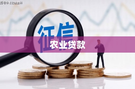南乐农业贷款