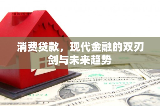 南乐消费贷款，现代金融的双刃剑与未来趋势
