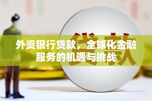 南乐外资银行贷款，全球化金融服务的机遇与挑战