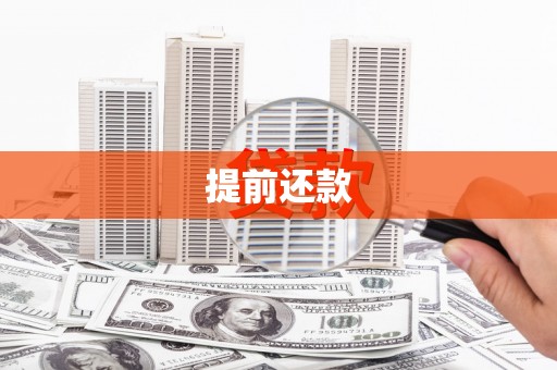 南乐提前还款