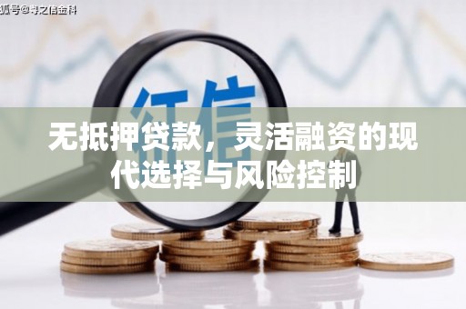 南乐无抵押贷款，灵活融资的现代选择与风险控制