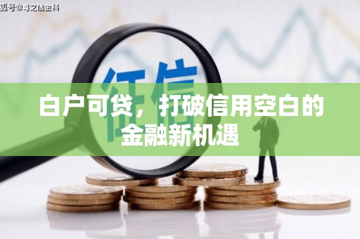 南乐白户可贷，打破信用空白的金融新机遇