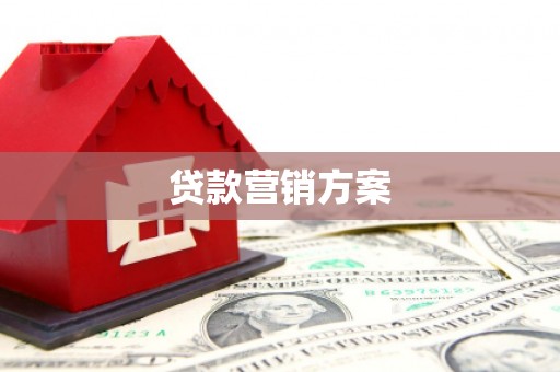南乐贷款营销方案