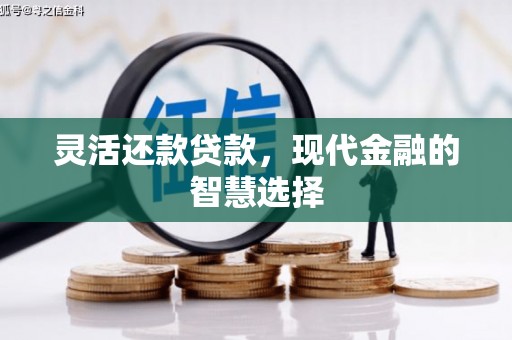 南乐灵活还款贷款，现代金融的智慧选择