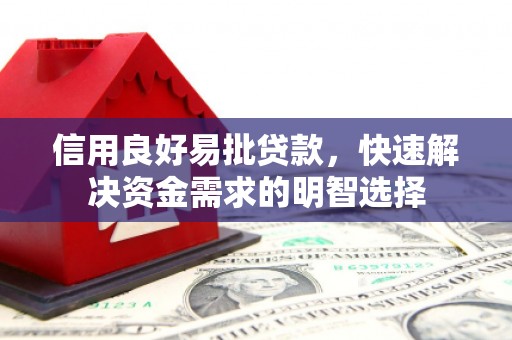 南乐信用良好易批贷款，快速解决资金需求的明智选择