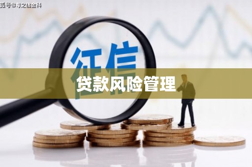 南乐贷款风险管理