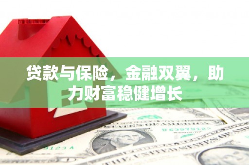 南乐贷款与保险，金融双翼，助力财富稳健增长