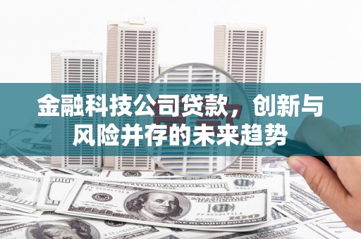 南乐金融科技公司贷款，创新与风险并存的未来趋势