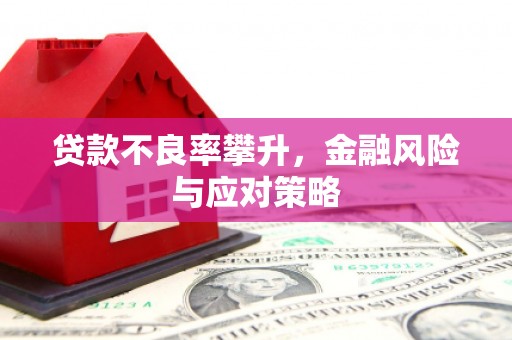 南乐贷款不良率攀升，金融风险与应对策略