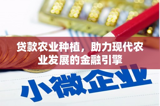 南乐贷款农业种植，助力现代农业发展的金融引擎