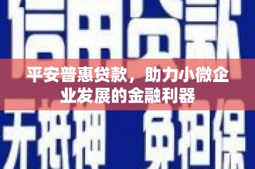 南乐平安普惠贷款，助力小微企业发展的金融利器
