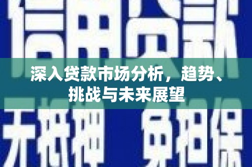 南乐深入贷款市场分析，趋势、挑战与未来展望