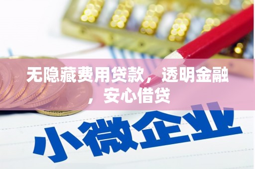 南乐无隐藏费用贷款，透明金融，安心借贷