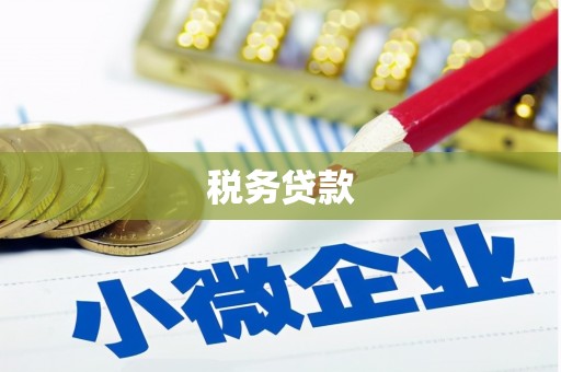 南乐税务贷款