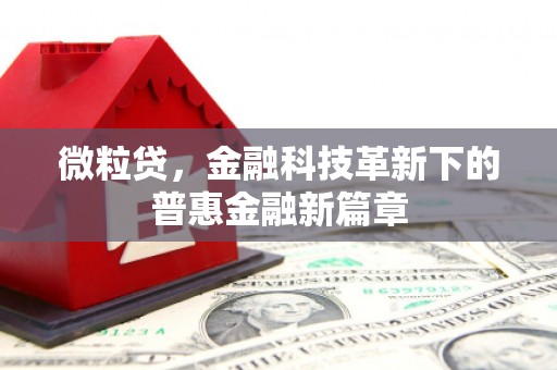 南乐微粒贷，金融科技革新下的普惠金融新篇章
