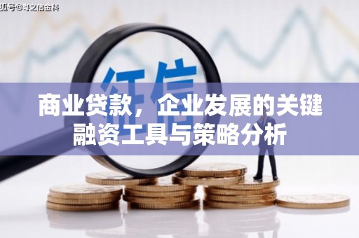 南乐商业贷款，企业发展的关键融资工具与策略分析